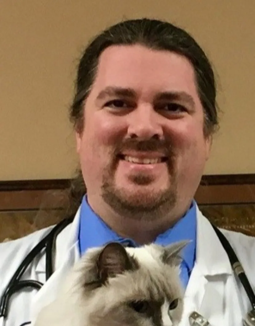 Cat Thyroid Center Dr. Heaton